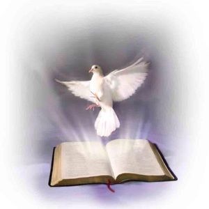 Meet your Posher, Neftali